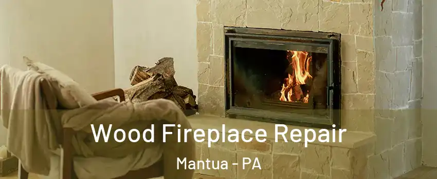 Wood Fireplace Repair Mantua - PA