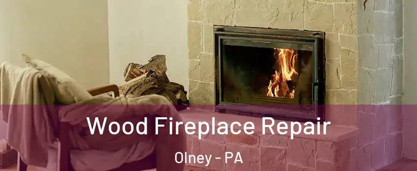 Wood Fireplace Repair Olney - PA