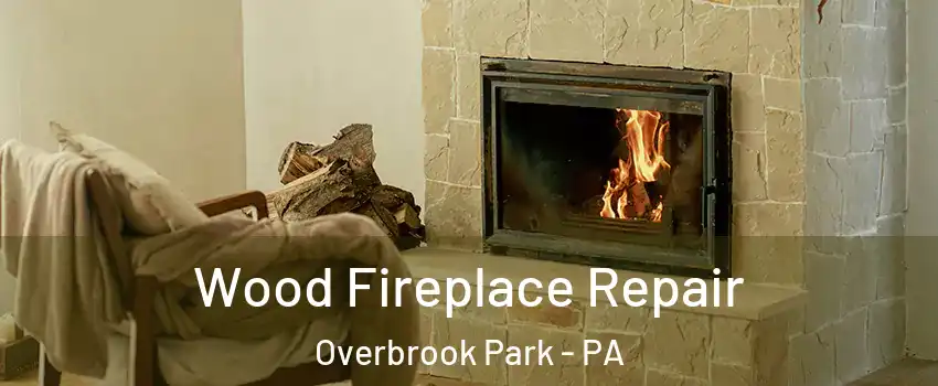 Wood Fireplace Repair Overbrook Park - PA