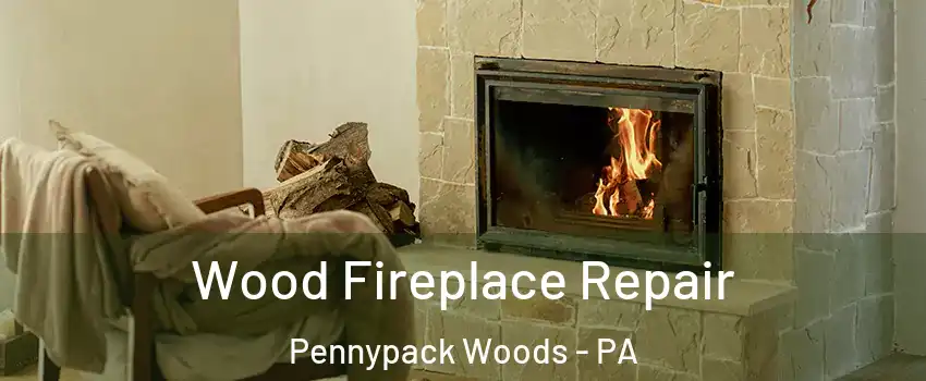 Wood Fireplace Repair Pennypack Woods - PA