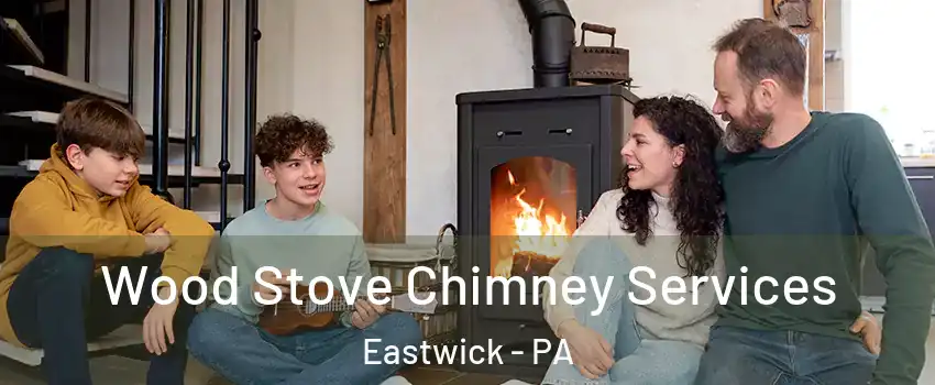 Wood Stove Chimney Services Eastwick - PA