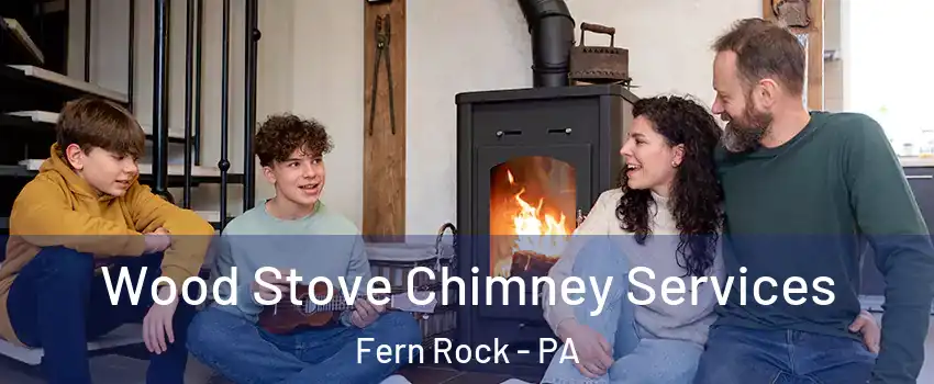 Wood Stove Chimney Services Fern Rock - PA
