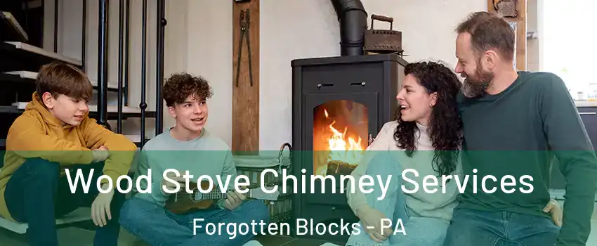 Wood Stove Chimney Services Forgotten Blocks - PA