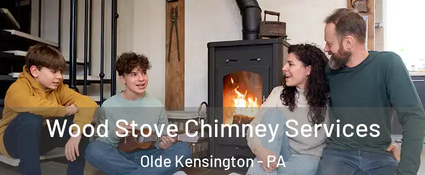 Wood Stove Chimney Services Olde Kensington - PA