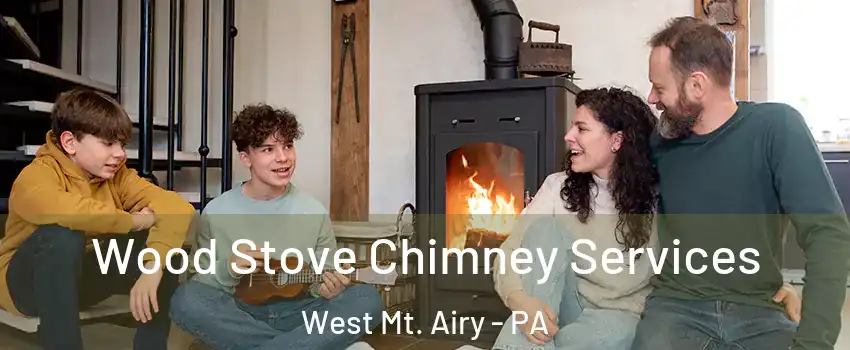 Wood Stove Chimney Services West Mt. Airy - PA