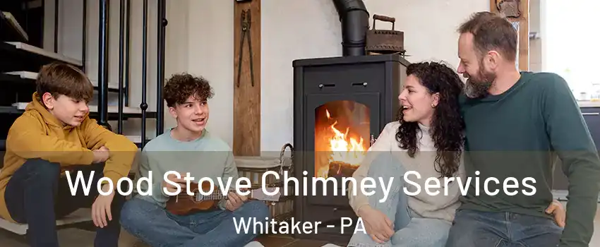 Wood Stove Chimney Services Whitaker - PA