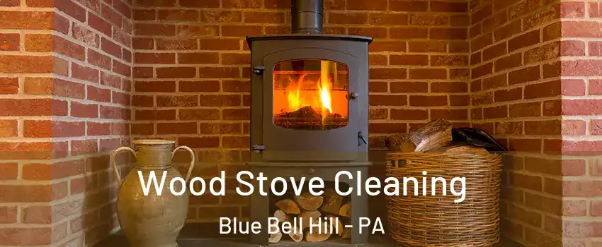 Wood Stove Cleaning Blue Bell Hill - PA