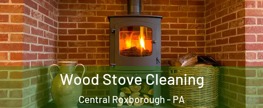 Wood Stove Cleaning Central Roxborough - PA