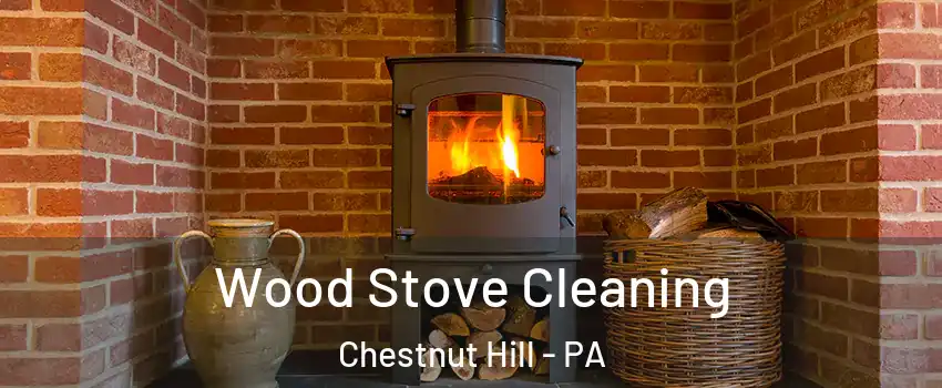 Wood Stove Cleaning Chestnut Hill - PA