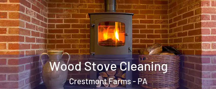Wood Stove Cleaning Crestmont Farms - PA