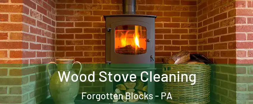 Wood Stove Cleaning Forgotten Blocks - PA
