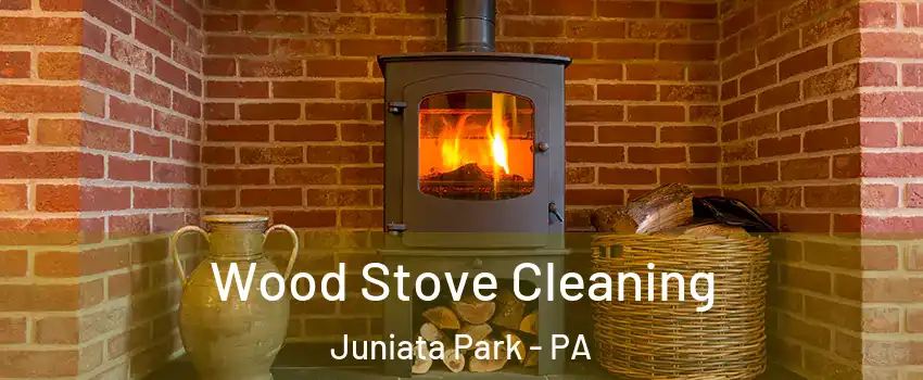 Wood Stove Cleaning Juniata Park - PA