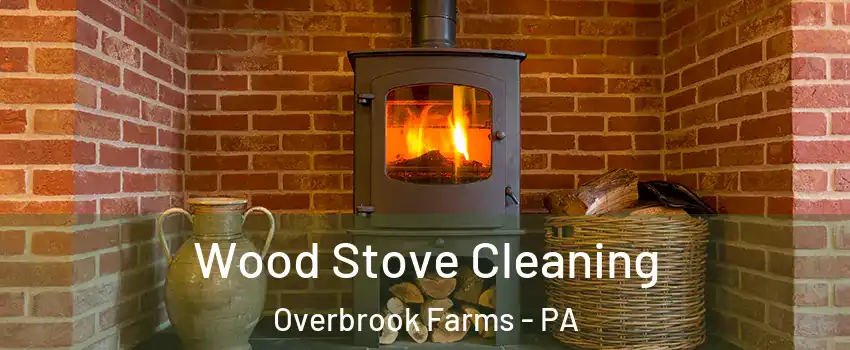 Wood Stove Cleaning Overbrook Farms - PA