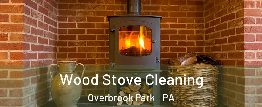 Wood Stove Cleaning Overbrook Park - PA