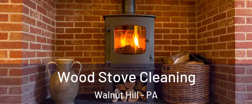 Wood Stove Cleaning Walnut Hill - PA