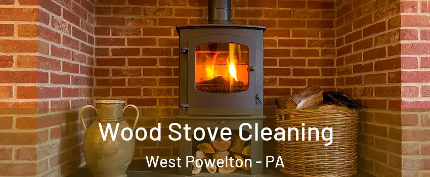 Wood Stove Cleaning West Powelton - PA