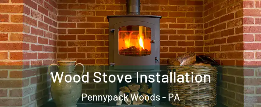Wood Stove Installation Pennypack Woods - PA