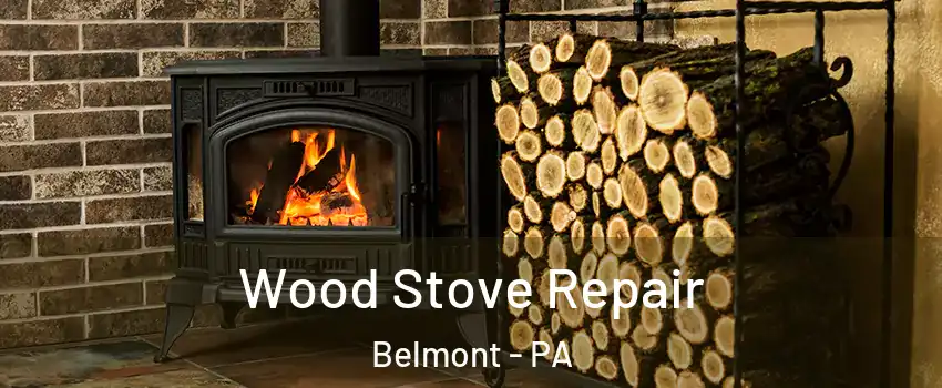 Wood Stove Repair Belmont - PA
