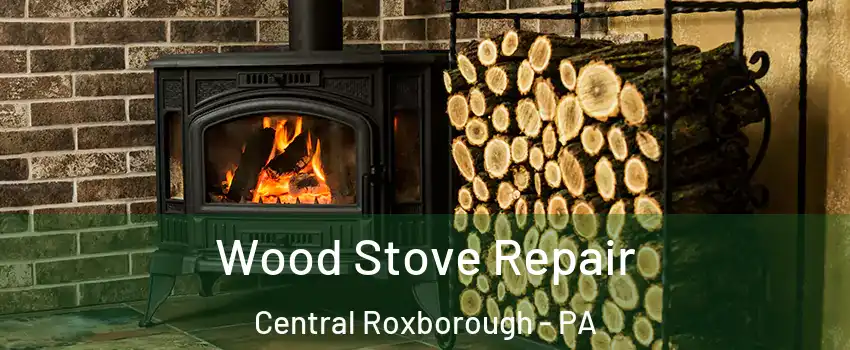 Wood Stove Repair Central Roxborough - PA
