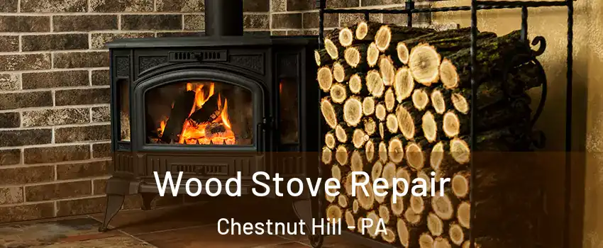 Wood Stove Repair Chestnut Hill - PA