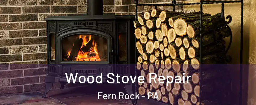 Wood Stove Repair Fern Rock - PA