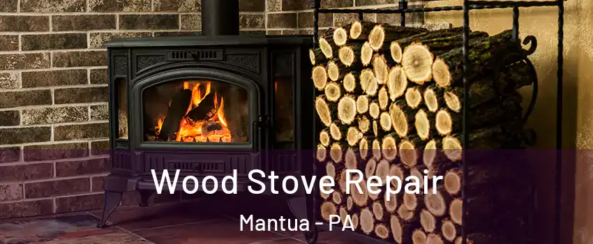 Wood Stove Repair Mantua - PA