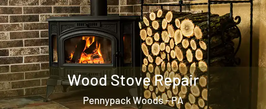 Wood Stove Repair Pennypack Woods - PA