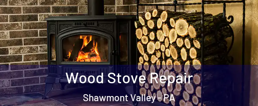 Wood Stove Repair Shawmont Valley - PA